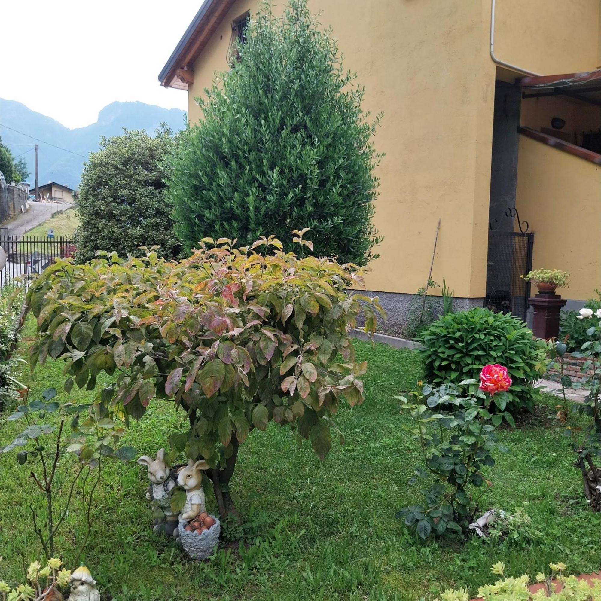 Casa Peppo Apartman Lezzeno Kültér fotó